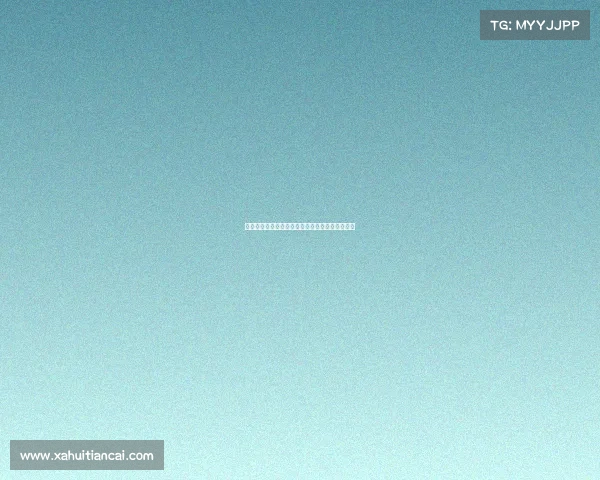 德国足球文化的独特魅力与德甲联赛发展历程探析