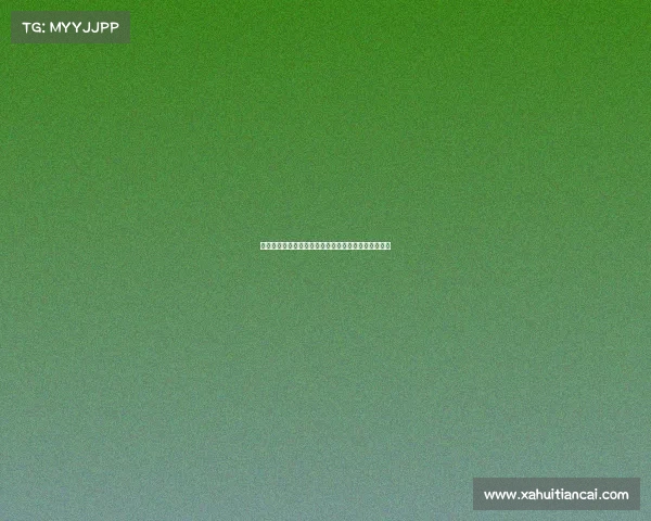 英超赛季观众人数统计分析及其对赛事发展的深远影响 英超赛季观众人数统计分析及其对赛事发展的深远影响