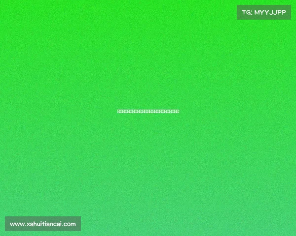 马特拉齐:齐沃虽经验有限但足以担当意甲赛场核心角色 马特拉齐:齐沃虽经验有限但足以担当意甲赛场核心角色