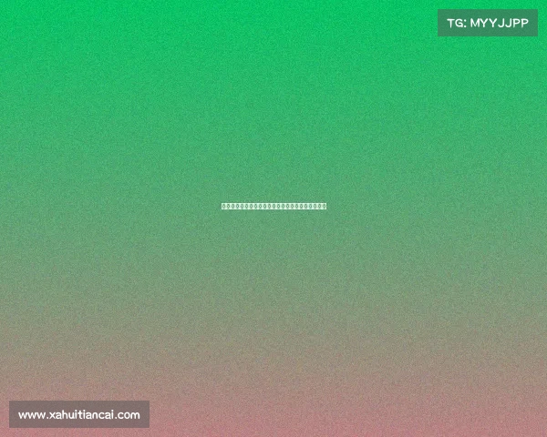 德甲联赛强队崛起与竞争激烈走势分析球迷热情不减