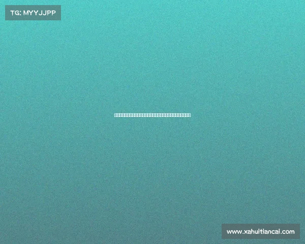 法甲球员在世界杯中的表现与影响力分析：从明星球员到战术风向标