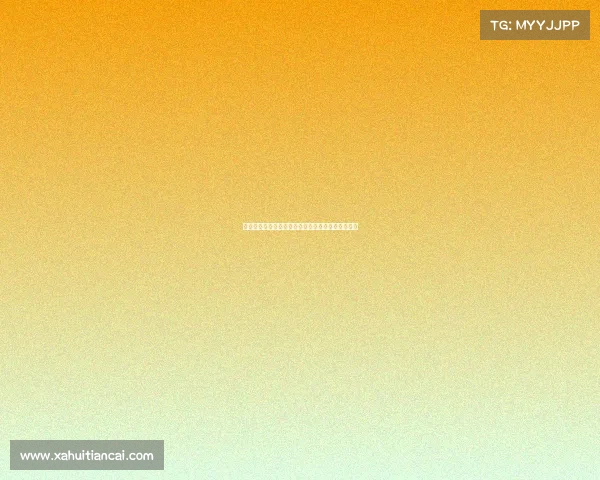 德甲联赛强队崛起与竞争激烈走势分析球迷热情不减