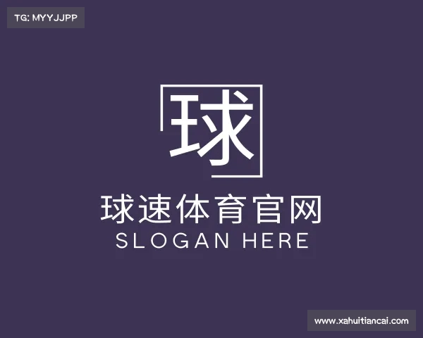 发现球速app下载入口